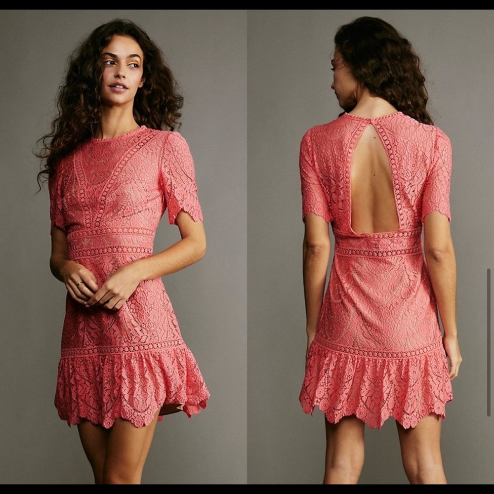 NWT Saylor Darian Lace Mini Dress Porcelain Rose XL